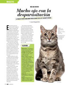 Viú Mascotas y patologías oculares