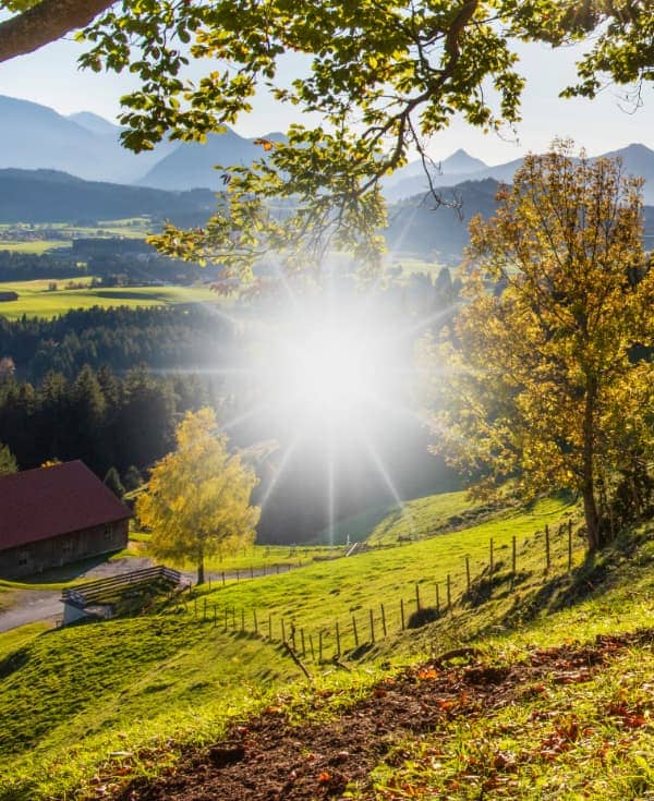 Manchas o áreas borrosas en la visión central
