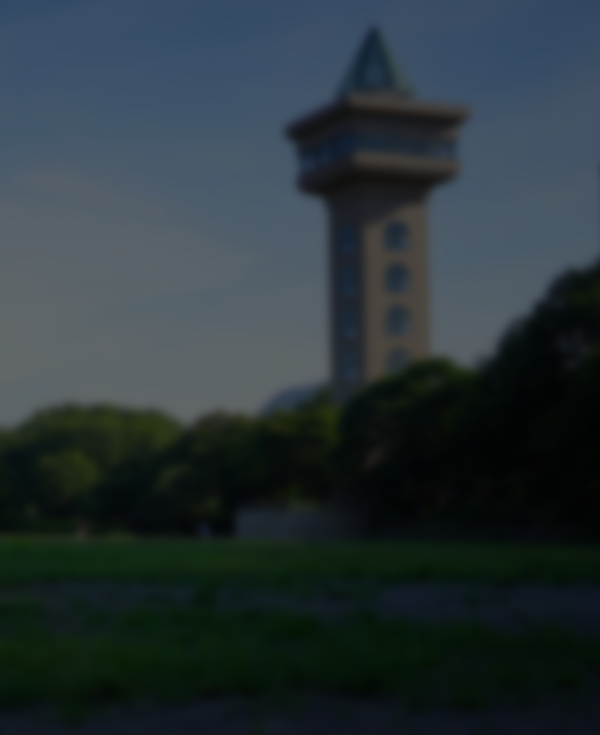 Pérdida de la visión